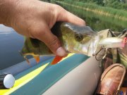 20150616_090812.jpg