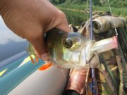 20150616_090837.jpg