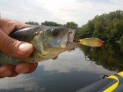 20150616_091402.jpg