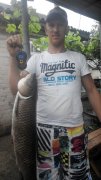 20150619182202.jpg