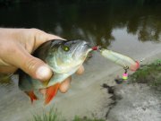 20150620_071444.jpg
