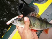 20150620_093606.jpg