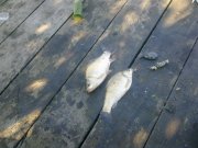 Фото3951.jpg