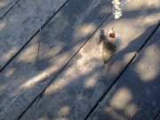 Фото3952.jpg