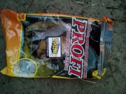 IMG_20150619_050732.jpg