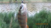 IMG_0189.JPG