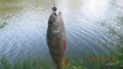 IMG_0191.JPG
