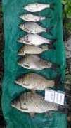 IMG_20150628_132002.jpg