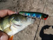 20150701_104152.jpg