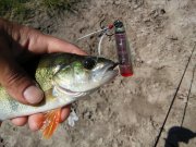 20150701_104128.jpg