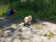 20150701_120911.jpg