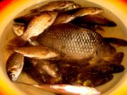 DSC01803.JPG