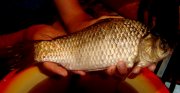 DSC01806.JPG