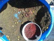 20150606_105326.jpg