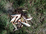 IMG_20150704_101704.jpg