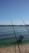 20150704_071246.jpg