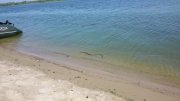 20150704_092951.jpg