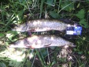 IMG_20150701_114058.jpg