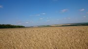 DSC_0394.JPG