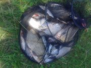 20150706_125905.jpg