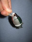 IMG_6734.JPG