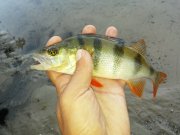 20150707_063540.jpg