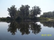 100_8762_thumb.jpg