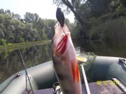 100_8763_thumb.jpg