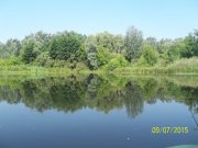 100_8760_thumb.jpg
