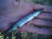 080707_174118.jpg