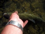 IMG_7011.jpg
