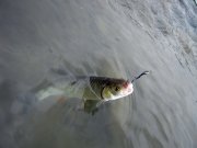 IMG_7106.jpg