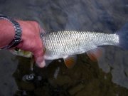 IMG_7111.jpg