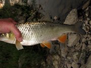 IMG_7142.jpg