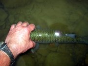 IMG_7145.jpg