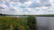 DSC_0417.JPG
