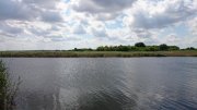 DSC_0418.JPG