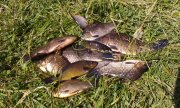 20150614_104649.jpg