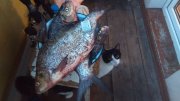 IMG_20150510_201852.jpg