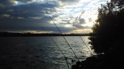 IMG_20150711_195357.jpg