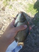 20150722_070343.jpg