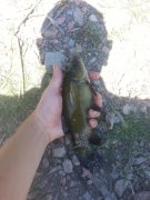 20150722_103753.jpg