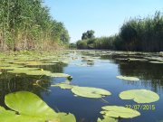 100_9095.JPG