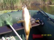 100_9096.JPG