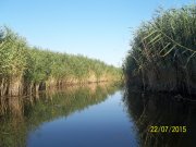 100_9102.JPG