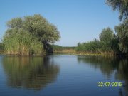 100_9100.JPG