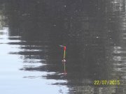 100_9098.JPG