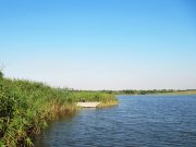 IMG_5225.JPG