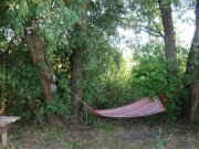 IMG_5227.JPG