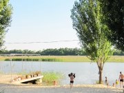 IMG_5240.JPG